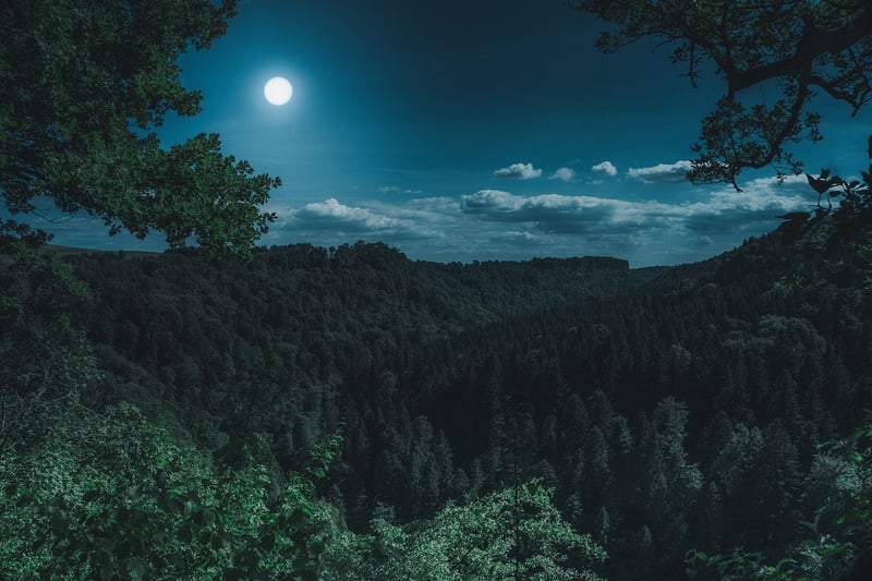 Full Moon Lantern